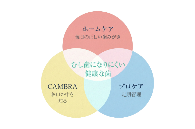 最新のむし歯予防法CAMBRA