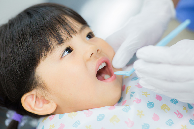 メインテナンス