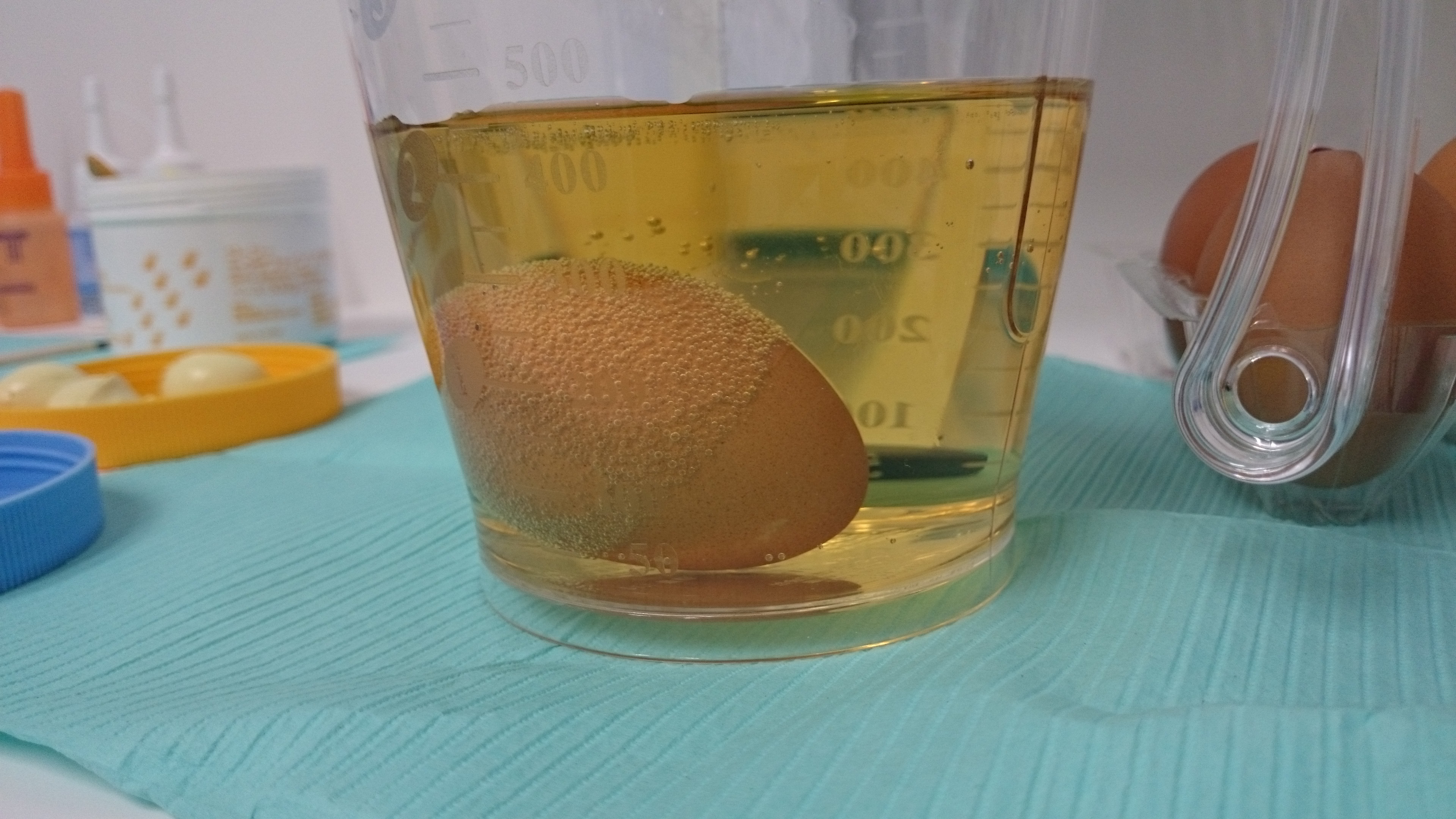 tmp_31324-DSC_033310758974